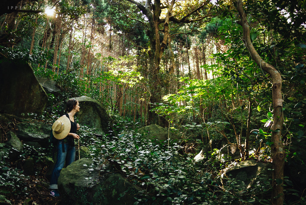 Mikura Island, Izu Islands