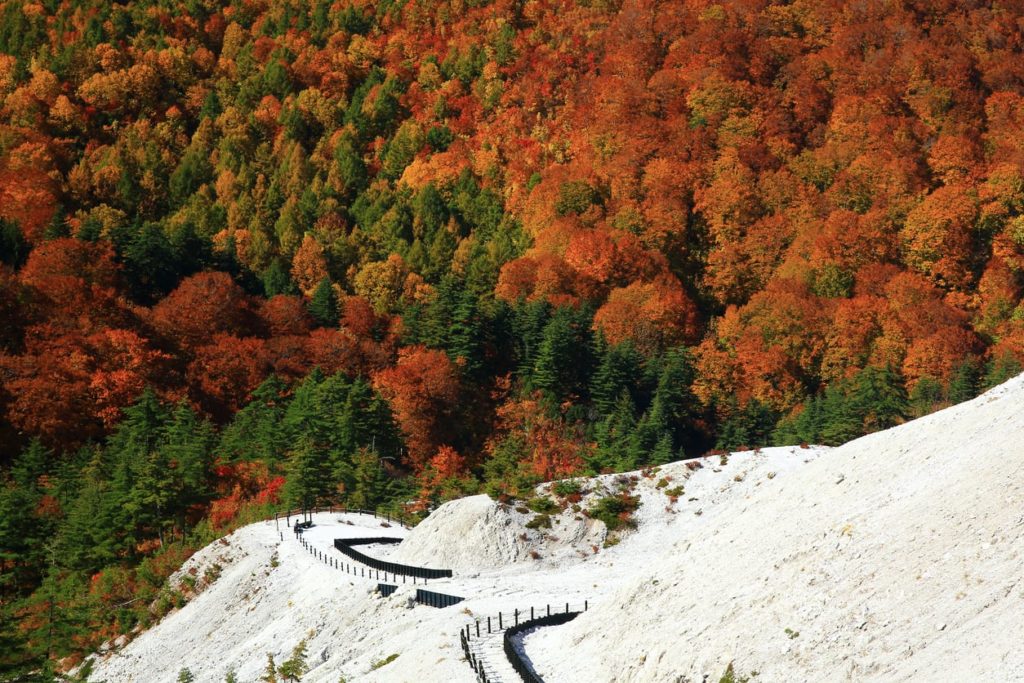 Autumn in Akita near Yuzawa City, Japan.