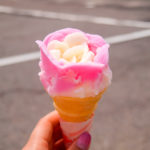5 Famous Foods You'll Find in Akita