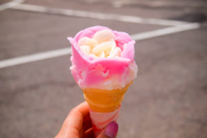 5 Famous Foods You'll Find in Akita