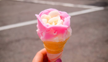 5 Famous Foods You'll Find in Akita