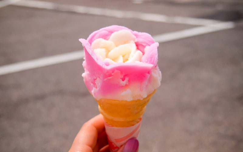 5 Famous Foods You'll Find in Akita