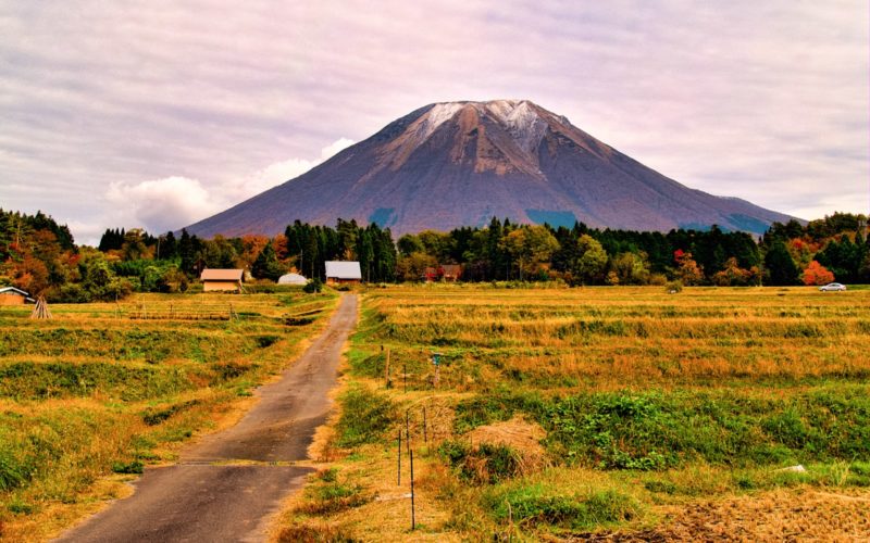 Best spots to see autumn leaves in Chugoku in Mt Daisen