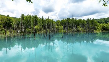 Biei Blue Lake Hokkaido
