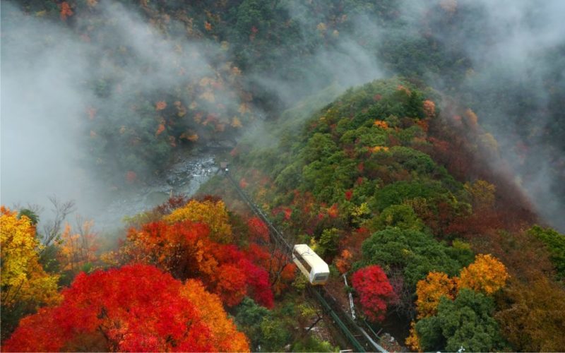 The cable car to the onsen at Hotel Iya Onsen.