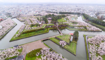 Cherry blossom in Goryokaku Hakodate Hokkaido Japan