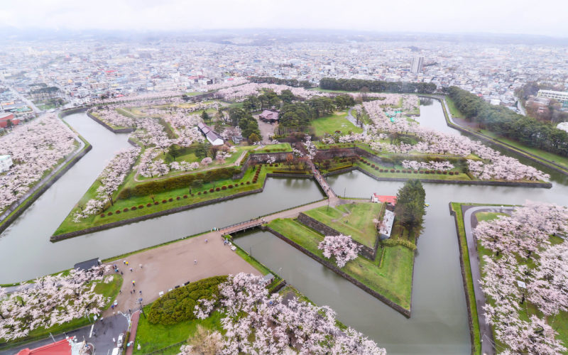 Cherry blossom in Goryokaku Hakodate Hokkaido Japan