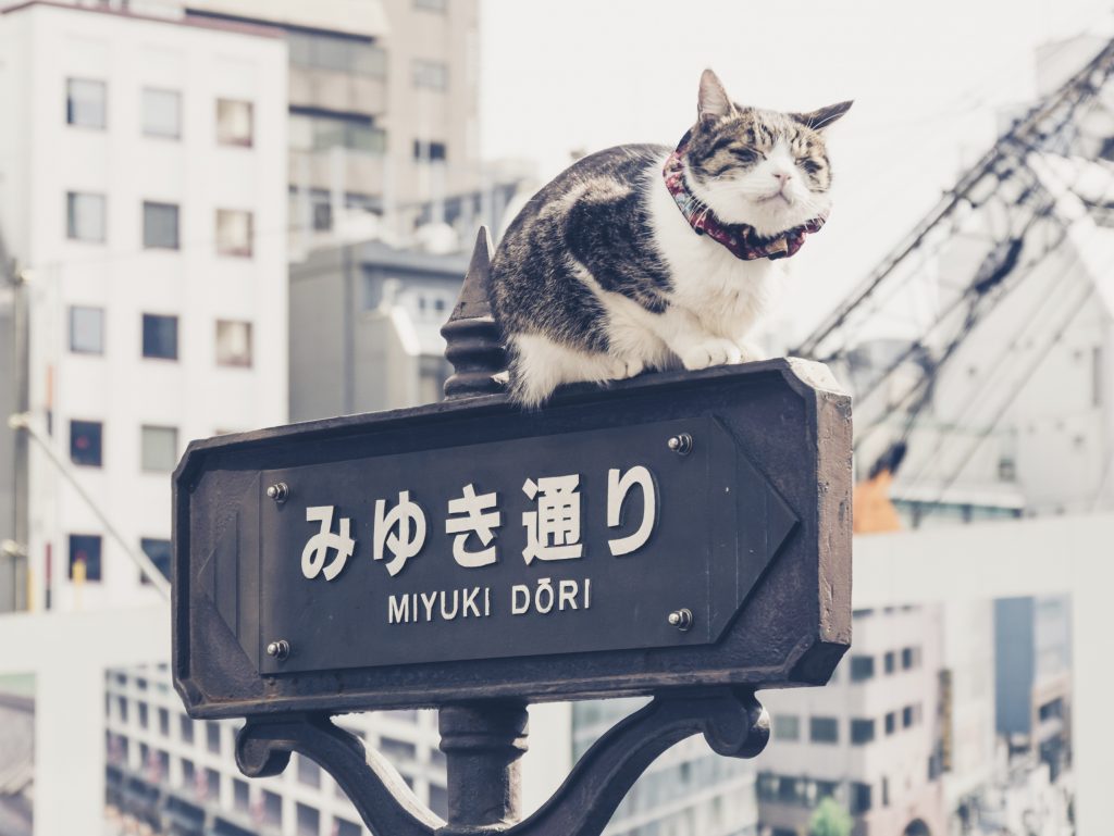 Ginza