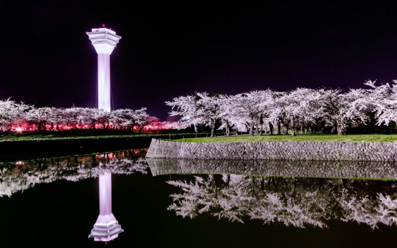 Cherry blossom in Goryokaku Hakodate Hokkaido Japan