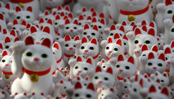 Gotoku-ji Cat Temple in Setagaya