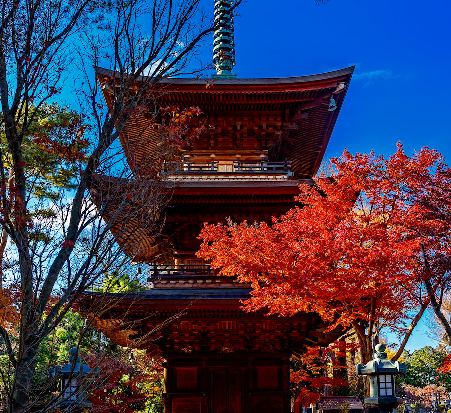 Gotokuji Cat Temple Setagaya Tokyo