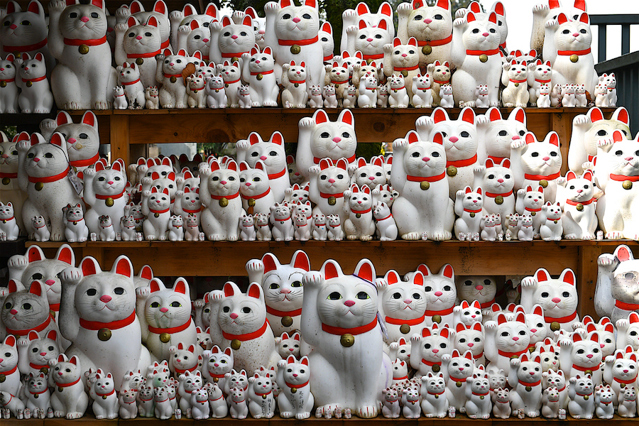 Gotoku-ji Cat Temple in Setagaya Tokyo