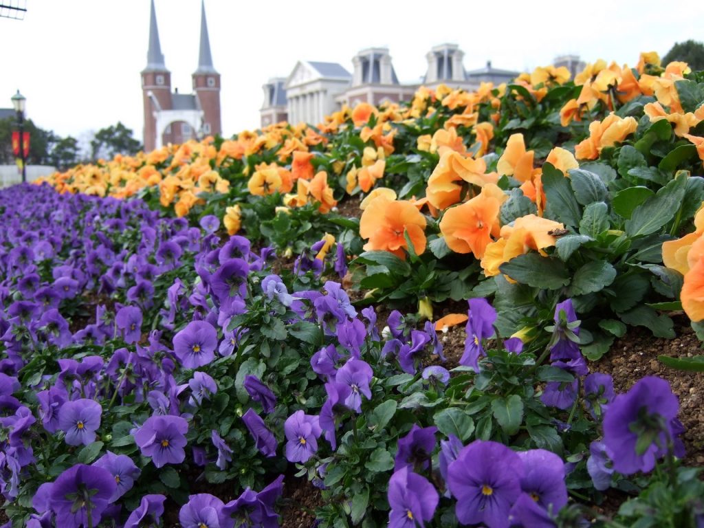 Huis Ten Bosch in Nagasaki