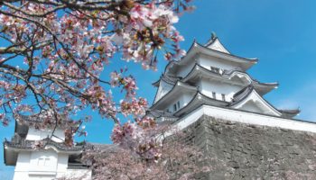 Iga Ueno Castle in Mie, Japan.
