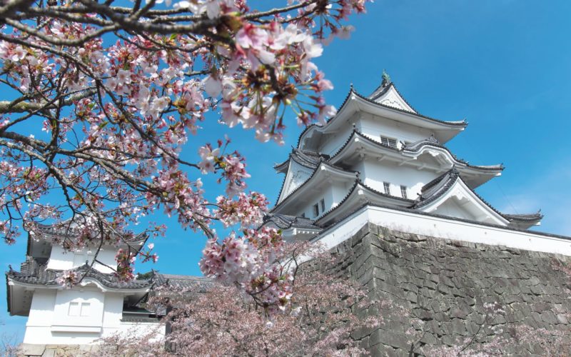 Iga Ueno Castle in Mie, Japan.
