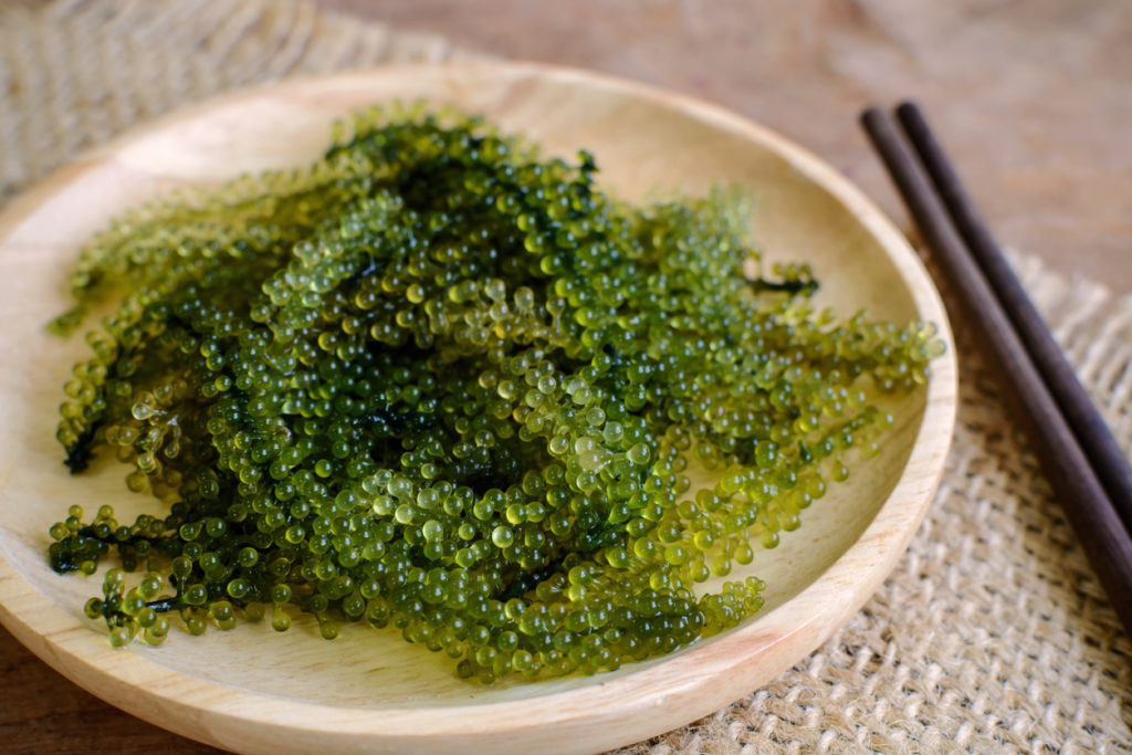 5 Famous Foods You'll Find in Okinawa - Umibudou