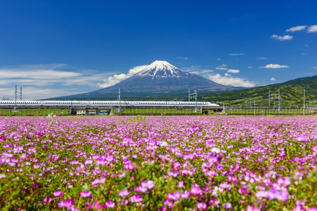 Japan Bullet Train GaijinPot Sakura Contest 2019