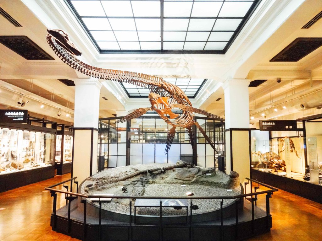 Japan Gallery National Museum of Nature and Science