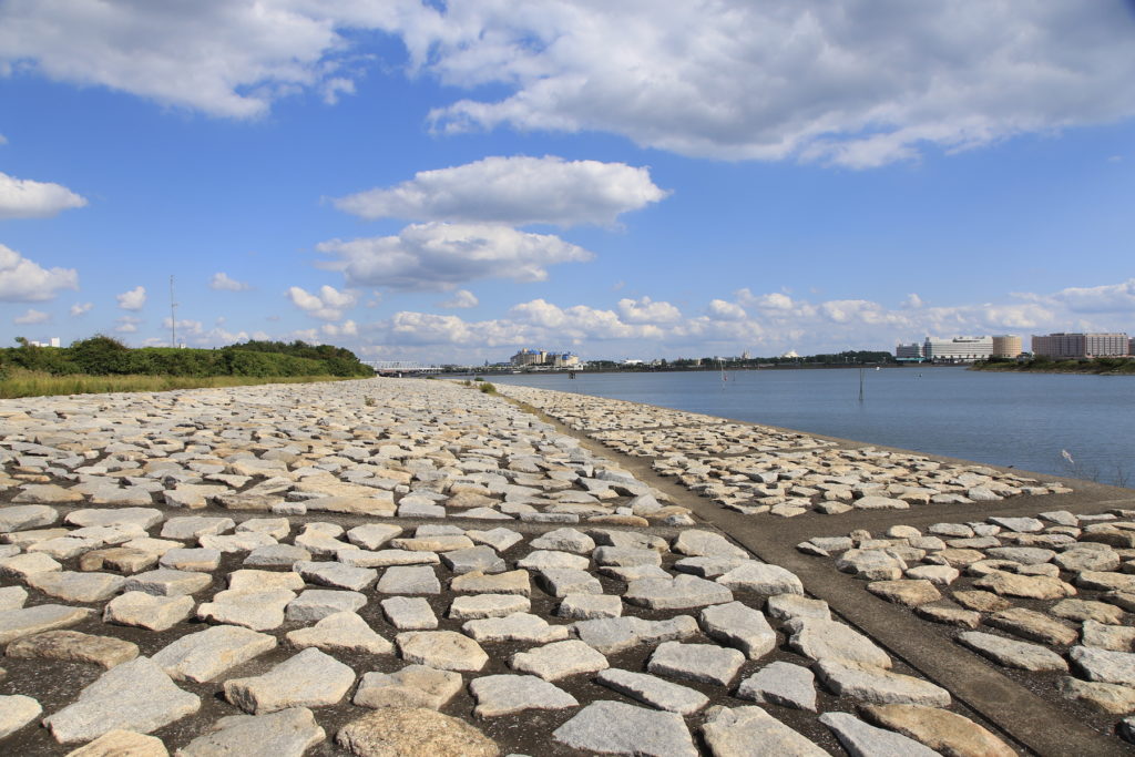kasai rinkai park beach