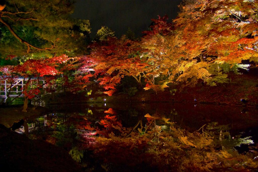 kodaiji