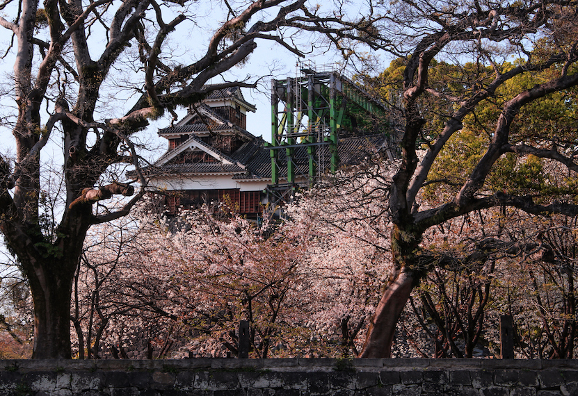Kumamoto Castle being repaired after the 2016 earthquake.