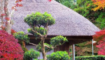 Kunenan mansion in Saga, Japan is an exclusive spot for Autumn leaves viewing in November