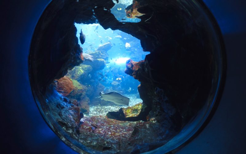 kyoto aquarium