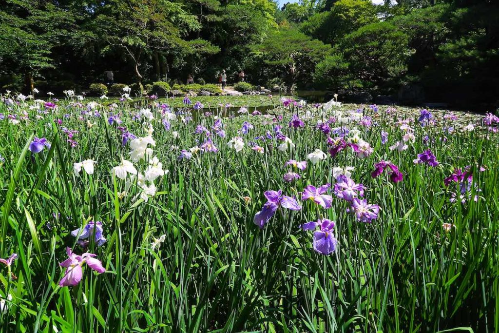 Heian shrine of Kyoto
