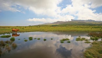 Lake at the active volcano - Mount Aso at Kumamoto, Japan
