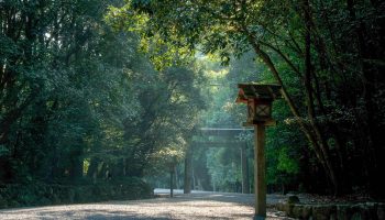 The Naiku of the Ise Jingu enshrines the sun goddess Amaterasu, the mother of the Japan.