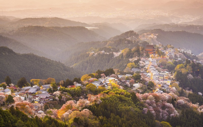 Cherry blossoms among the Yoshino mountains in Nara prefecture