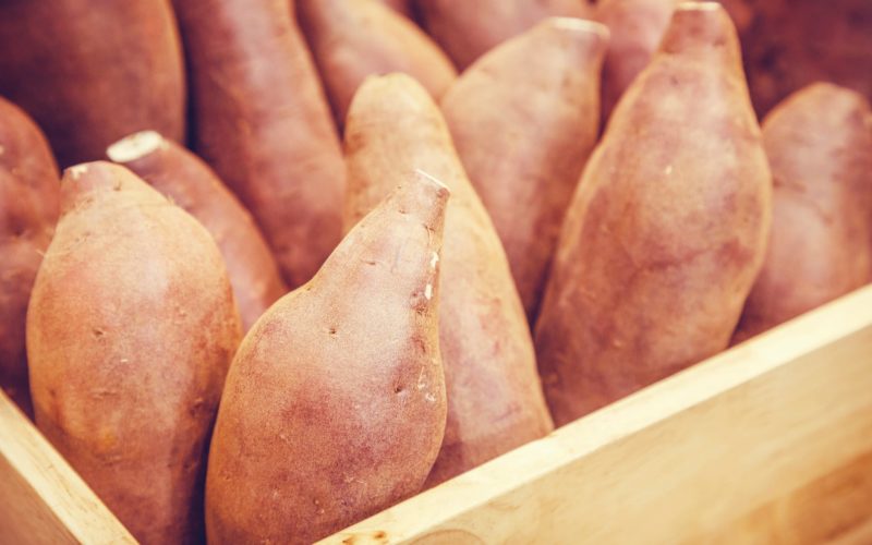 Naruto Kintoki Sweet Potato Tokushima