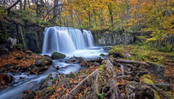 Oirase Stream