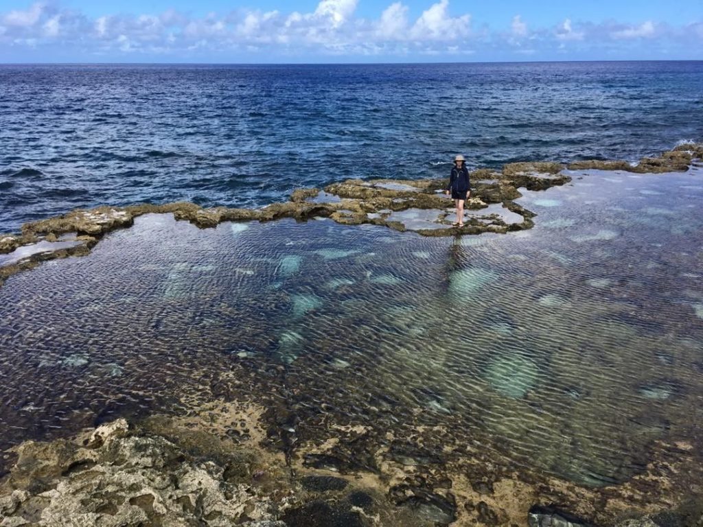 Okinawas Daito Islands. This is minami daito