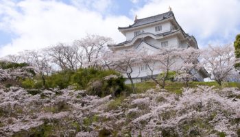 otaki castle