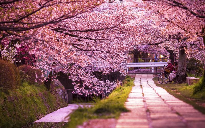 Philosopher's Path Kyoto