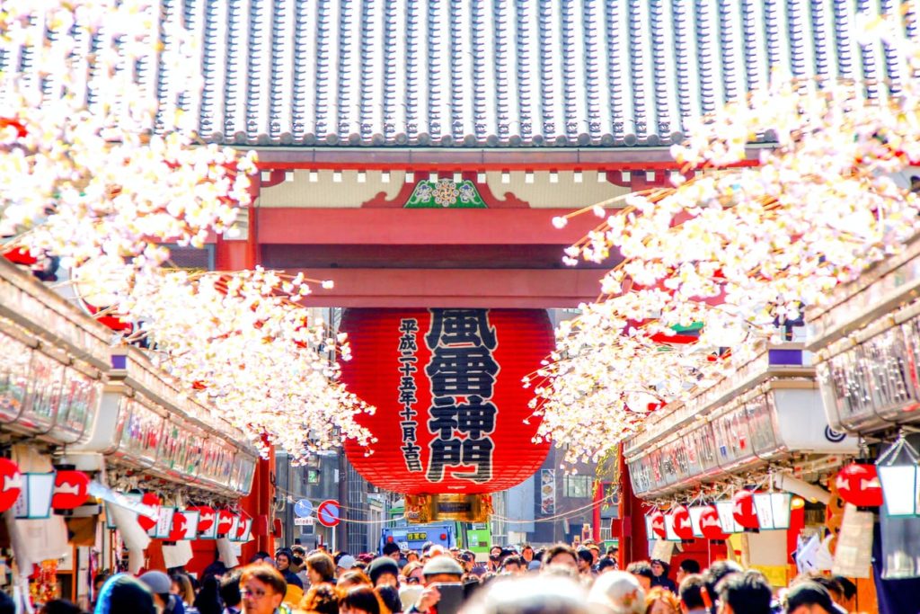 Sensoji Temple Sakura Tokyo