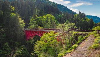Shirakami Sanchi UNESCO World Heritage Site
