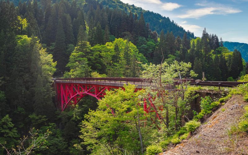 Shirakami Sanchi UNESCO World Heritage Site