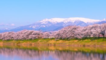 snow covered Zao Mountain Miyagi Sendai