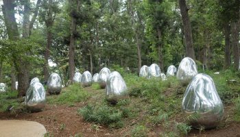 TeamLab: Resonating Life in the Acorn Forest