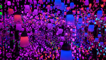 Teamlab borderless Mori Digital Art Museum Odaiba, Tokyo