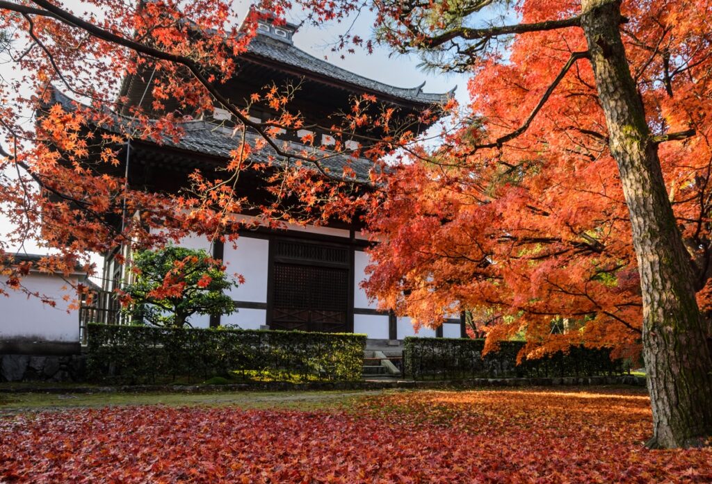 Tofuku-ji Temple