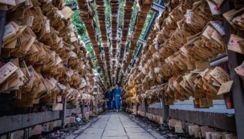 Tunnel of Ema at Hikawa Shrine Saitama 2