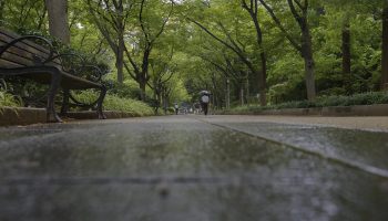 Utsubo park