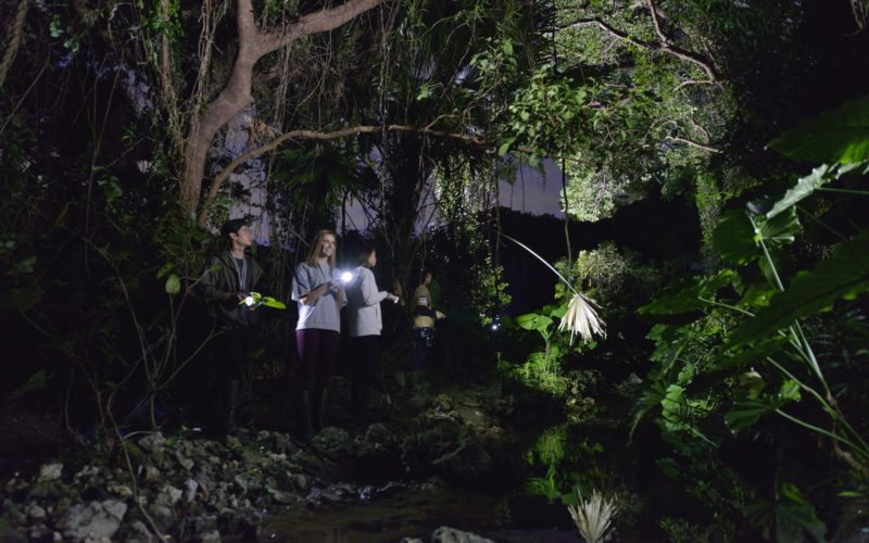 Uwaga Jungle night trekking in Okinawa World