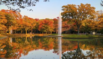 Yoyogi Park