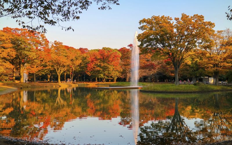 Yoyogi Park